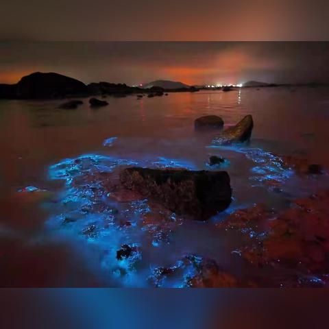 厦门的海是什么海？