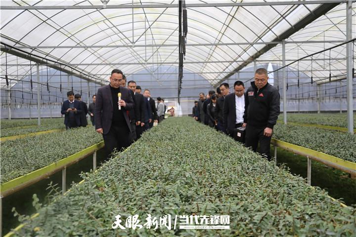 产业经济研究教育论文现代产业体系的构成要素有哪些