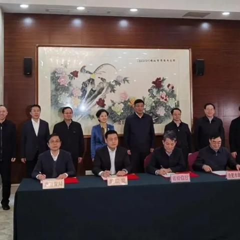 合肥市医院落户流程是什么