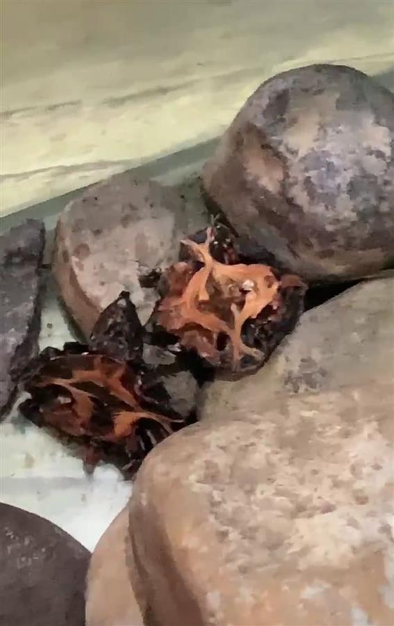 山东商业职业技术学院宿舍(山东商业职业技术学院周末宿舍晚上还查房吗)