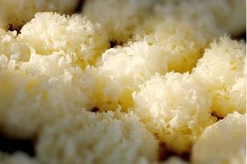 农业科学论文答辩开场白为什么说钓鱼不仅是休闲还是文化