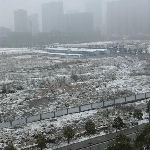 2025.11.15长沙今日气温变化情况