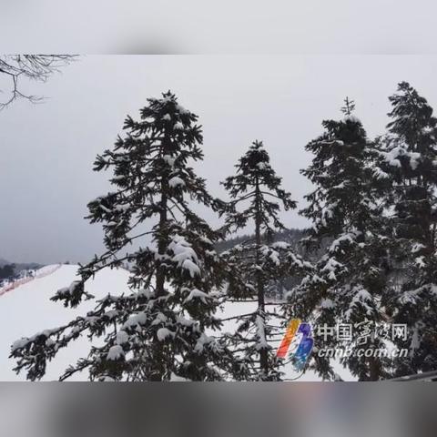 2025.12.2宁波今日气温变化情况