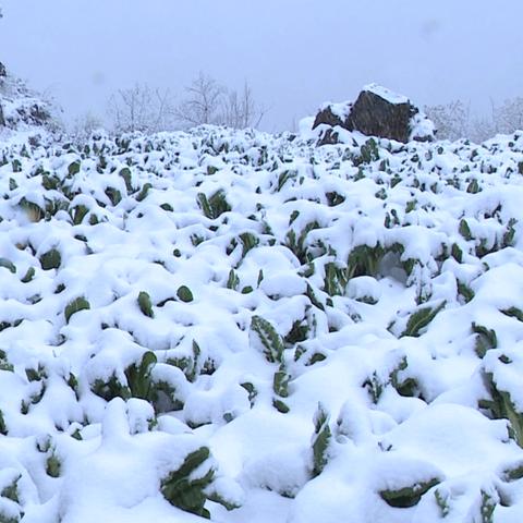 大寒潮是什么意思
