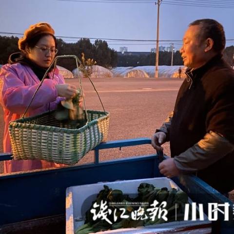 【杭州今日菜价】2025年6月28日杭州菜价是多少