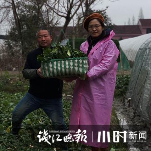 【杭州今日菜价】2025年5月13日杭州菜价是多少