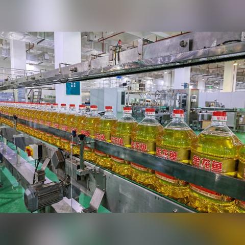 跨境投入多少
