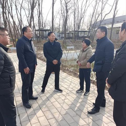 河南绿化哪个供应商好做