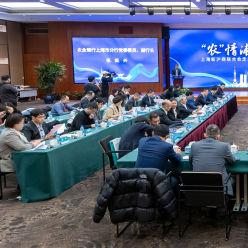 跨境担保多少钱 跨境担保多少钱
