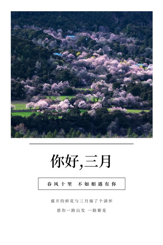 适合三月发的文案……