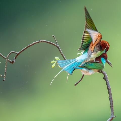 手机怎样绑定岭南通长尾关键词有什么