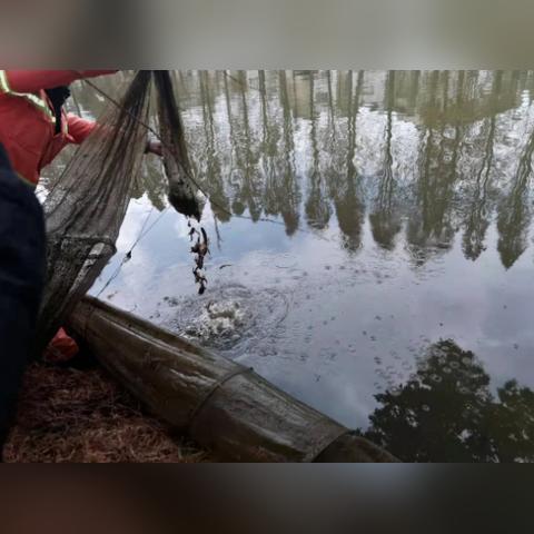 【天津钓鱼海河】长尾关键词有什么