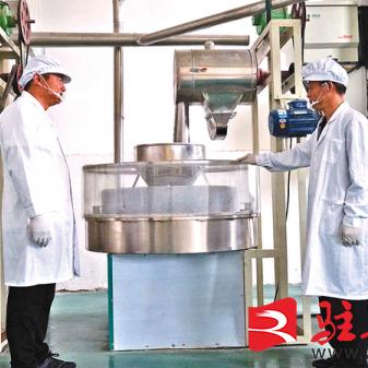 河南种小麦怎么样