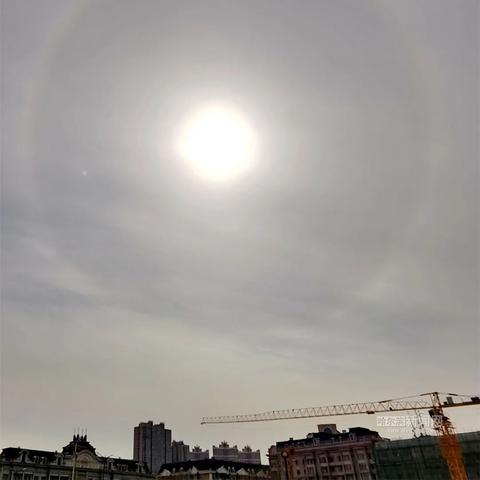 哈尔滨市温度多少