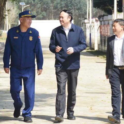 桂林熟普洱渠道招商加盟相关长尾关键词有哪些