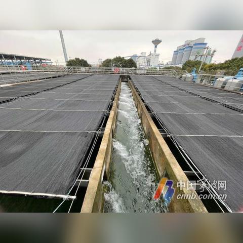 【宁波今日汽车价格】2025年4月2日宁波各品牌汽车价格走势