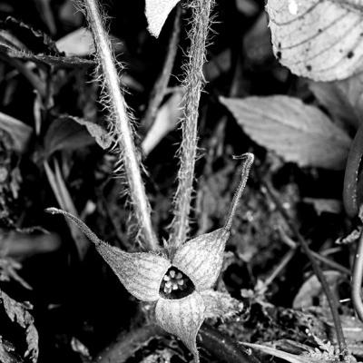 重庆大学复试结果公示的长尾关键词有什么