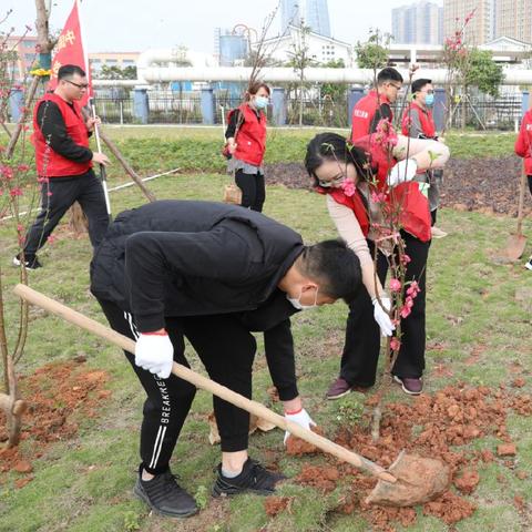 南宁市去青山怎么坐车
