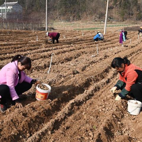 神州中联济南相关长尾关键词有哪些