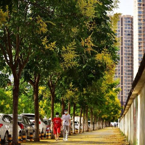 武汉市的范湖在什么地方