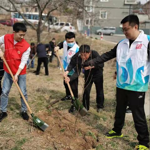 济南市绿化面积是多少