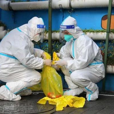 西安市核酸怎么查报告的