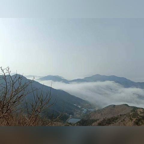济南市大自然地板哪里卖