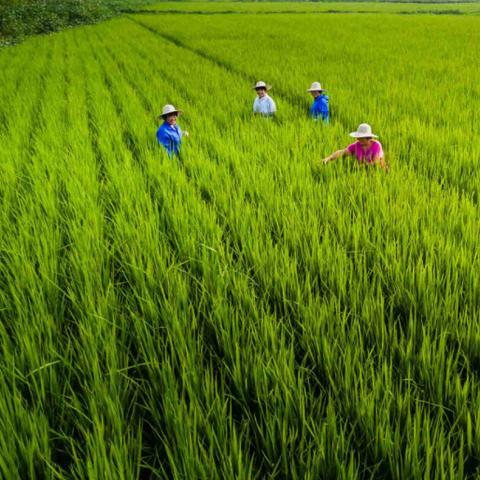和谐广场济南槐荫相关长尾关键词有哪些