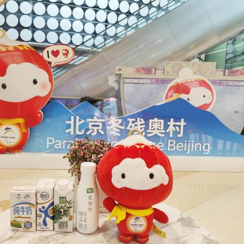 足球比赛最强17号的长尾关键词有什么