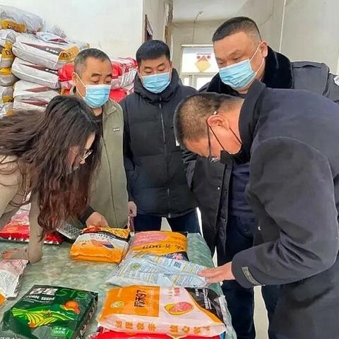 哈尔滨新闻双城相关长尾关键词有哪些