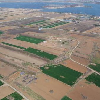 河南南阳镇玉石怎么样