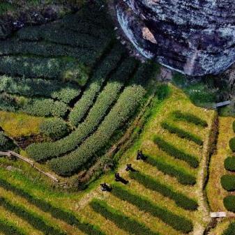 古代在福建哪个国家