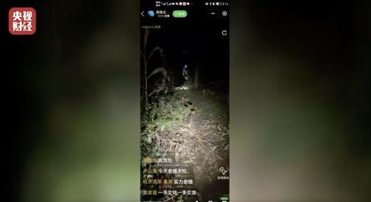 315打假直播间：揭秘诱哄大学生打赏的骗术