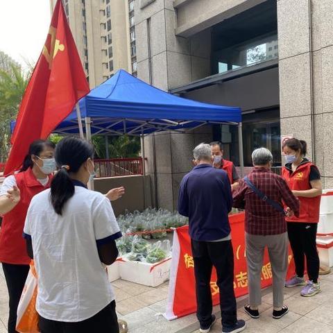 【深圳今日菜价】2025年6月12日深圳菜价是多少