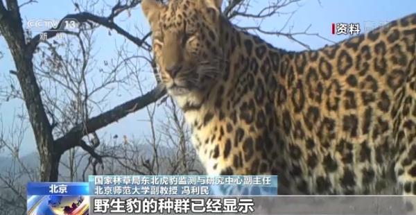 宝宝首次吃肉的时间段是几个月 宝宝首次吃肉的时间段是几个月