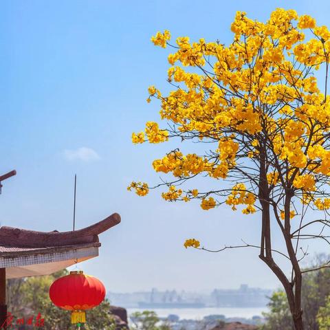 惠州气温曲线图的长尾关键词有哪些