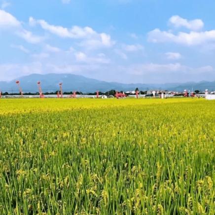 宁波赛道招聘的长尾关键词有什么