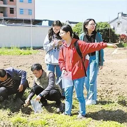 深圳回两英有几班车？