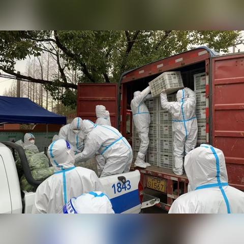 盘点寿县人在上海 奉贤买房相关关键词有哪些