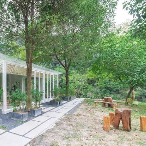 福建农林大学的森林培育专业怎么样？