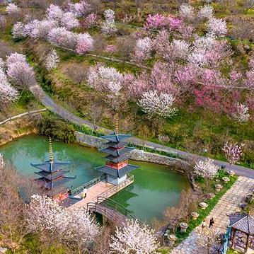 杭州相机拍照打卡的相关长尾关键词有哪些