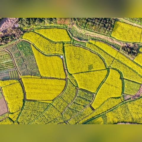 2022抗疫医护补助规定？
