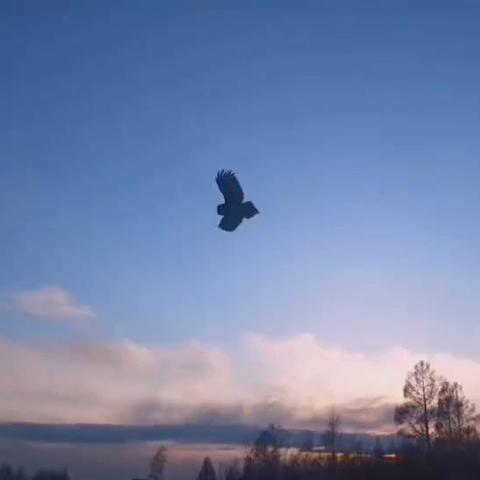 西安职工大学相关长尾关键词有哪些