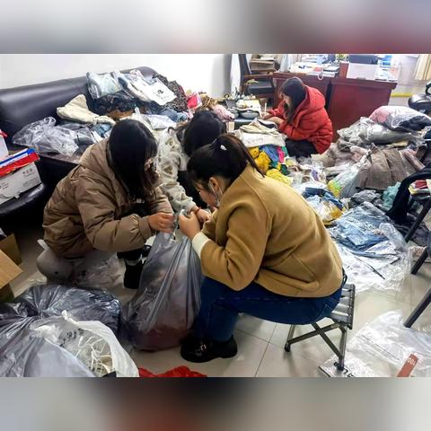 志愿者编号如何可以查询？