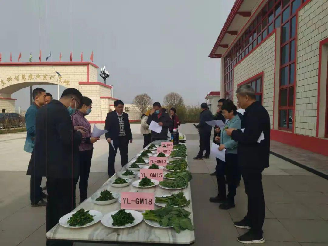 杨凌美食有什么好吃的（你觉得西安的十大美食是哪些）