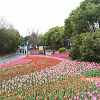 南通市景点怎么预约