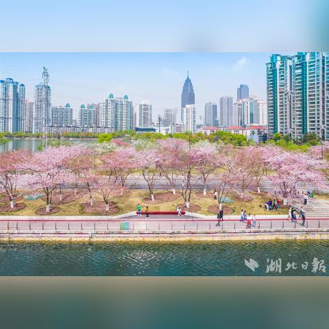 武汉市有些什么湖