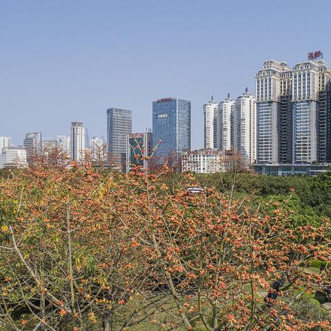 南宁市蓝天花木场怎么样