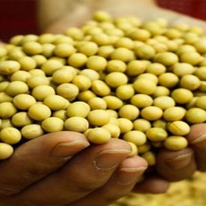 福建哪个牌子豆奶好喝