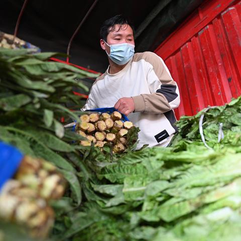 泉州市疫情防控应急联动的长尾关键词有哪些